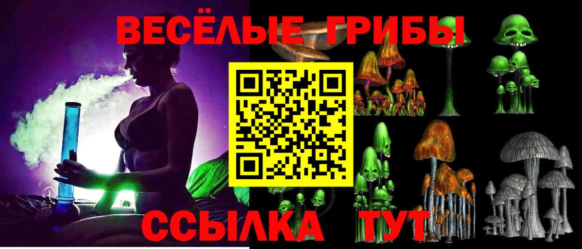 Челябинск  Галлюциногенные грибы прущие грибы  Галлюциногенные грибы прущие грибы  Вход с VPN 
