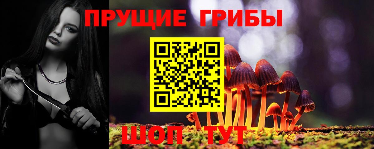Псилоцибиновые грибы GOLDEN TEACHER Челябинск